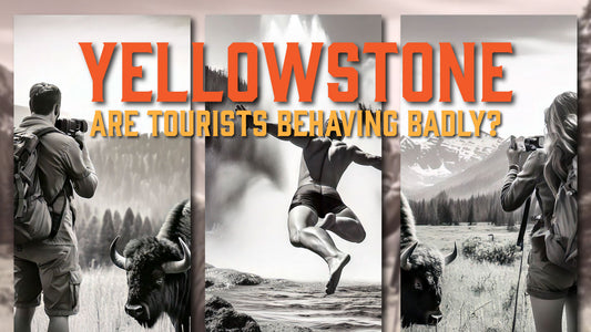 Yellowstone's Popularity vs. Preservation – Are Tourists Behaving Badly?