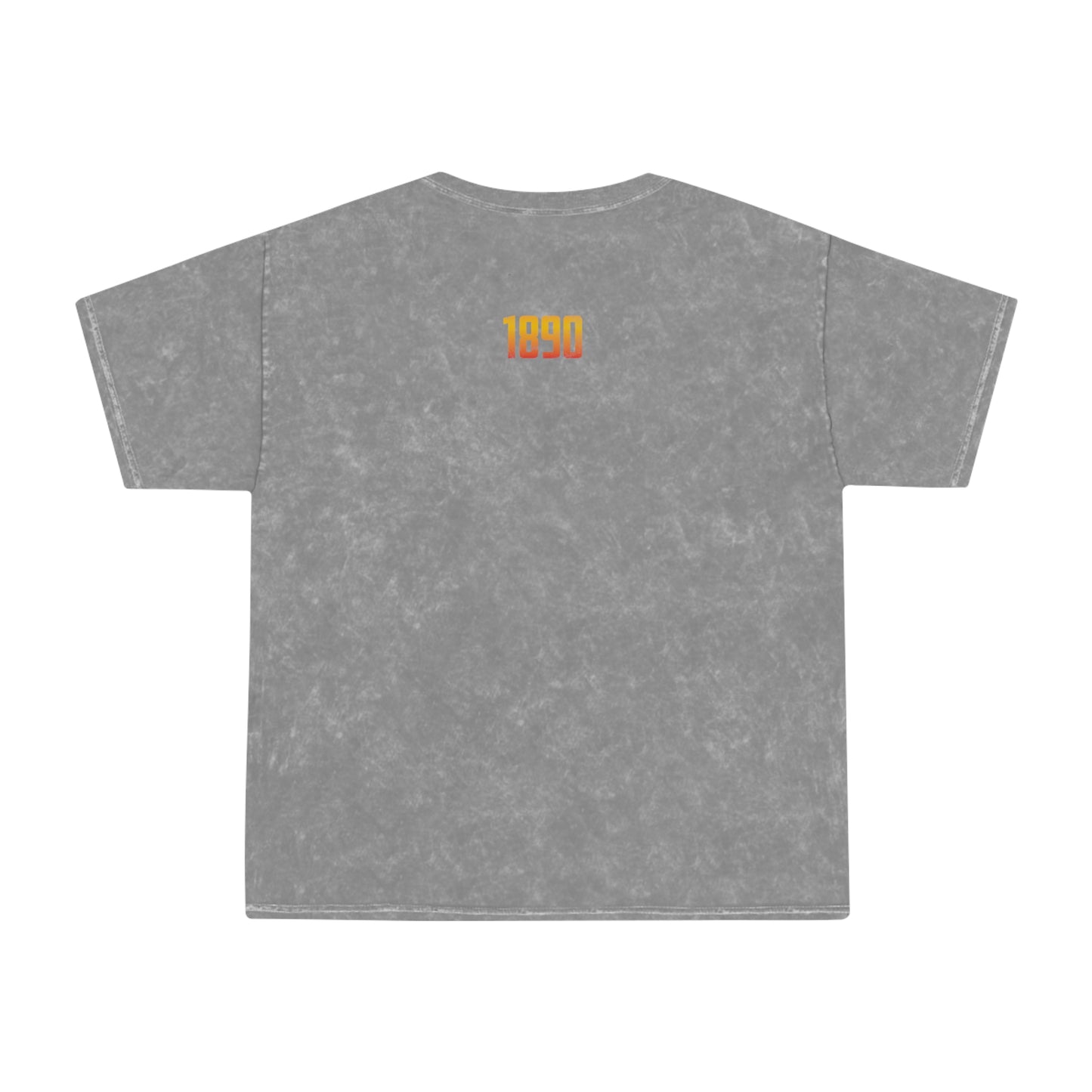 Big Beautiful Wyoming Mineral Wash Tee - Wyomerican