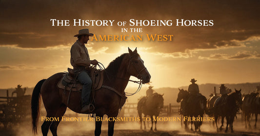 The History of Shoeing Horses in the American West: From Frontier Blacksmiths to Modern Farriers